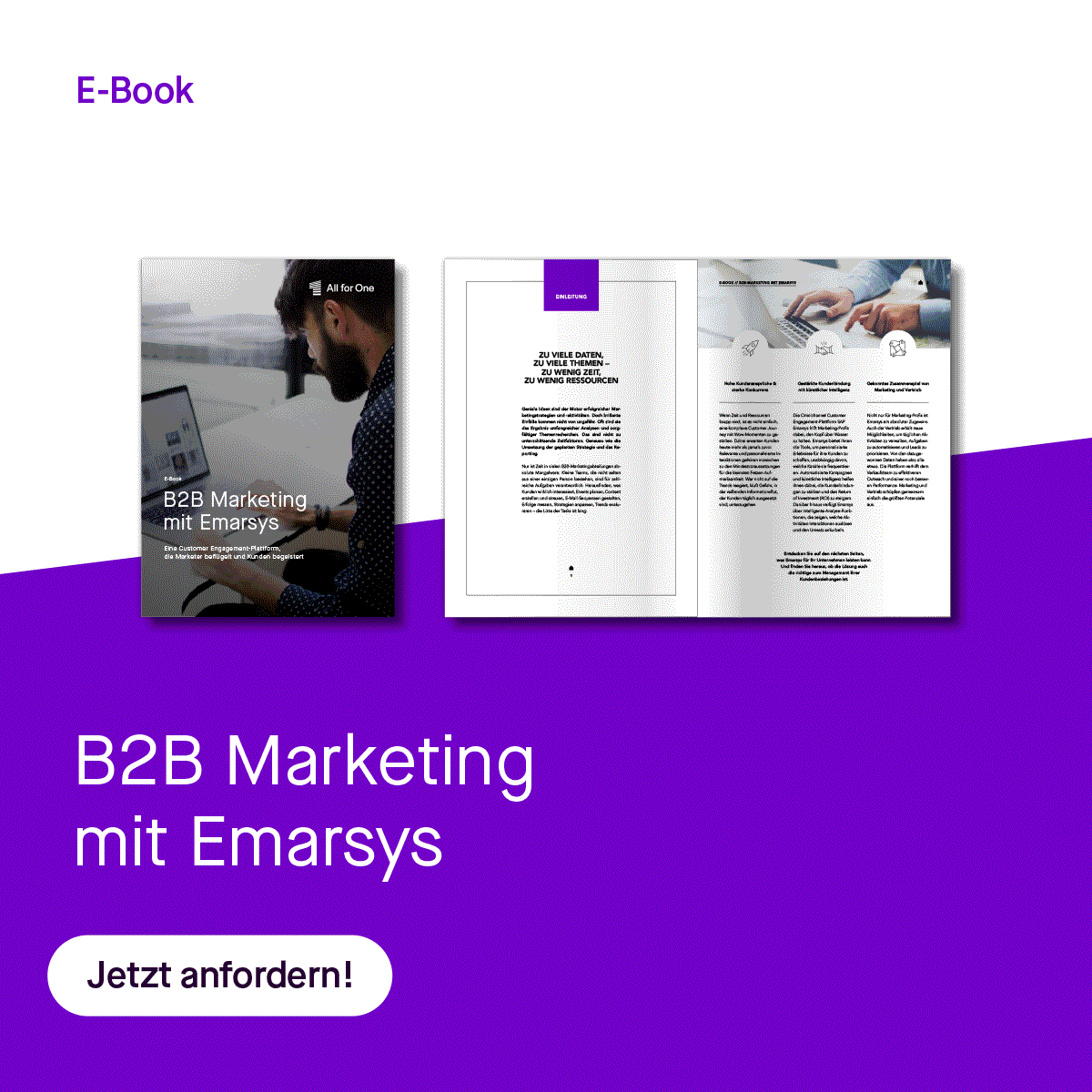 B2B Marketing mit Emarsys