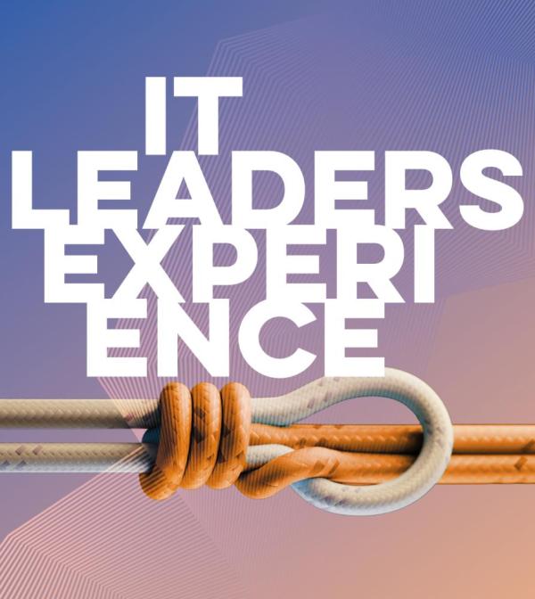 IT Leaders Experience